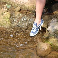  : Gallery : converse : 2012 : 46 : IMG_3512.JPG