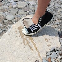  : Gallery : converse : 2012 : 49 : IMG_4159.JPG