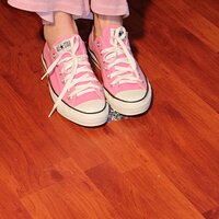  : Gallery : converse : 2013 : 12 : IMG_6628.JPG