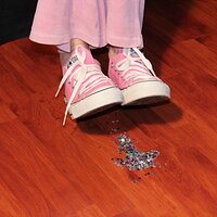  : Gallery : converse : 2013 : 12 : IMG_6631.JPG
