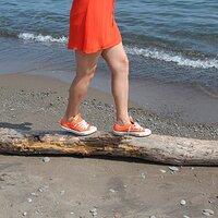  : Gallery : converse : 2014 : 04 : IMG_7925.JPG