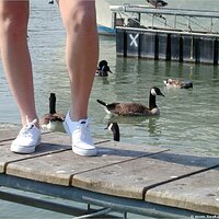 : Gallery : girls : 2004 : 11 : P7010245.JPG