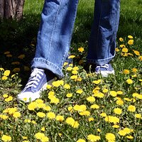 : Gallery : girls : 2006 : 37 : IMG_0947.JPG