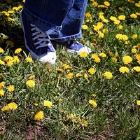  : Gallery : girls : 2006 : 37 : IMG_0951.JPG