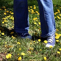  : Gallery : girls : 2006 : 37 : IMG_0952.JPG