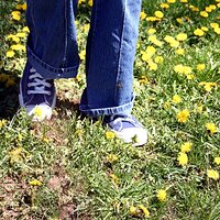  : Gallery : girls : 2006 : 37 : IMG_0956.JPG