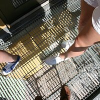  : Gallery : girls : 2008 : 40 : IMG_7373.JPG