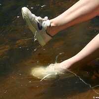  : Gallery : girls : 2008 : 69 : IMG_7135.JPG