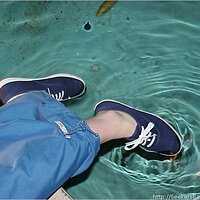  : Gallery : keds : 2002 : 17 : Mvc-104x.jpg