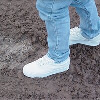  : Gallery : keds : 2003 : 14 : seeker5_005.jpg