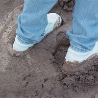  : Gallery : keds : 2003 : 14 : seeker5_010.jpg