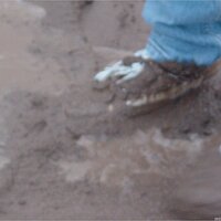  : Gallery : keds : 2003 : 14 : seeker5_025.jpg