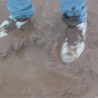  : Gallery : keds : 2003 : 14 : seeker5_044.jpg