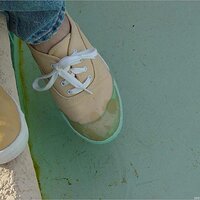  : Gallery : keds : 2003 : 18 : yellowkedspool_017.jpg
