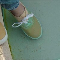 : Gallery : keds : 2003 : 18 : yellowkedspool_018.jpg