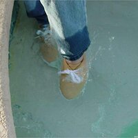  : Gallery : keds : 2003 : 18 : yellowkedspool_021.jpg