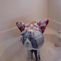  : Gallery : keds : 2003 : 27 : tinabatha51.jpg