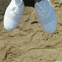  : Gallery : keds : 2003 : 48 : P7230075.JPG