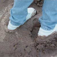  : Gallery : keds : 2004 : 09 : seeker5_010.jpg