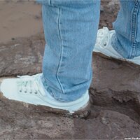  : Gallery : keds : 2004 : 09 : seeker5_012.jpg