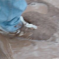  : Gallery : keds : 2004 : 09 : seeker5_026.jpg