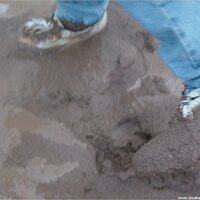  : Gallery : keds : 2004 : 09 : seeker5_036.jpg