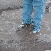  : Gallery : keds : 2004 : 09 : seeker5_041.jpg