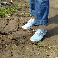  : Gallery : keds : 2004 : 29 : P5050426.JPG