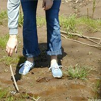 : Gallery : keds : 2004 : 29 : P5050429.JPG