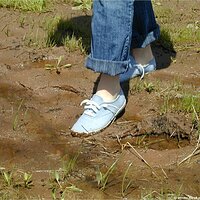  : Gallery : keds : 2004 : 29 : P5050431.JPG