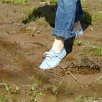  : Gallery : keds : 2004 : 29 : P5050432.JPG