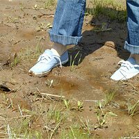  : Gallery : keds : 2004 : 29 : P5050433.JPG