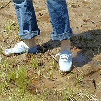  : Gallery : keds : 2004 : 29 : P5050435.JPG