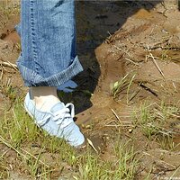  : Gallery : keds : 2004 : 29 : P5050437.JPG
