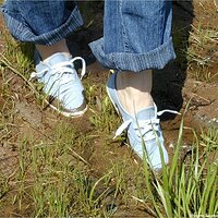  : Gallery : keds : 2004 : 29 : P5050438.JPG