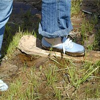  : Gallery : keds : 2004 : 29 : P5050441.JPG