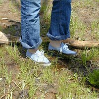  : Gallery : keds : 2004 : 29 : P5050444.JPG