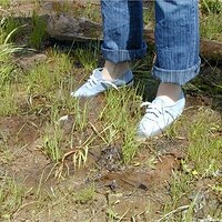 : Gallery : keds : 2004 : 29 : P5050446.JPG