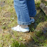  : Gallery : keds : 2004 : 29 : P5050447.JPG