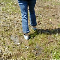  : Gallery : keds : 2004 : 29 : P5050450.JPG