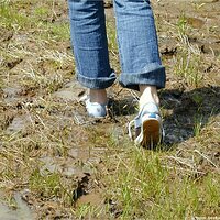  : Gallery : keds : 2004 : 29 : P5050451.JPG