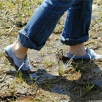  : Gallery : keds : 2004 : 29 : P5050452.JPG
