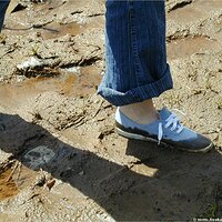  : Gallery : keds : 2004 : 29 : P5050455.JPG