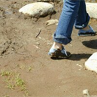  : Gallery : keds : 2004 : 29 : P5050458.JPG