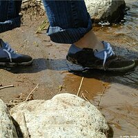  : Gallery : keds : 2004 : 29 : P5050460.JPG