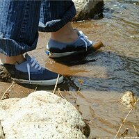  : Gallery : keds : 2004 : 29 : P5050461.JPG