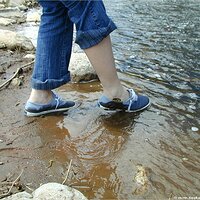  : Gallery : keds : 2004 : 29 : P5050466.JPG