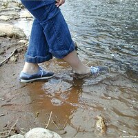  : Gallery : keds : 2004 : 29 : P5050467.JPG