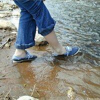  : Gallery : keds : 2004 : 29 : P5050468.JPG