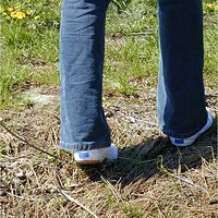  : Gallery : keds : 2004 : 58 : P5050011.JPG